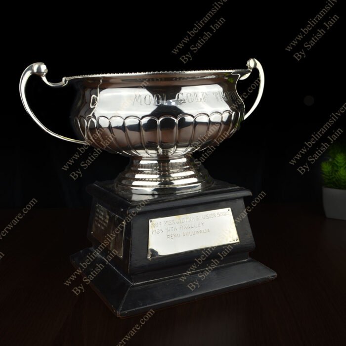 Wavy Ribbed Silver Trophy